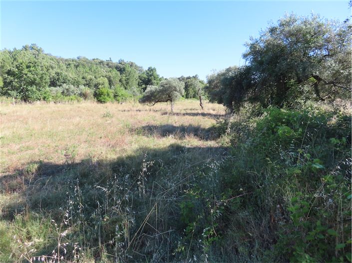 Image No.39-Propriété de 2 chambres à vendre à Castelo Branco