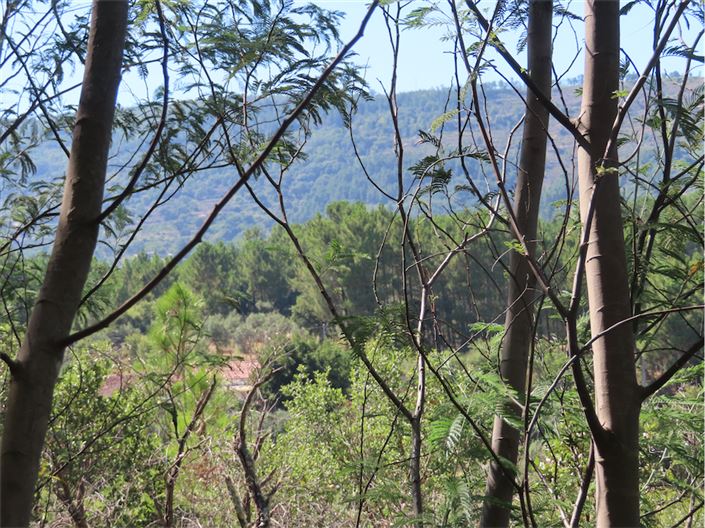 Image No.4-Propriété de 2 chambres à vendre à Castelo Branco