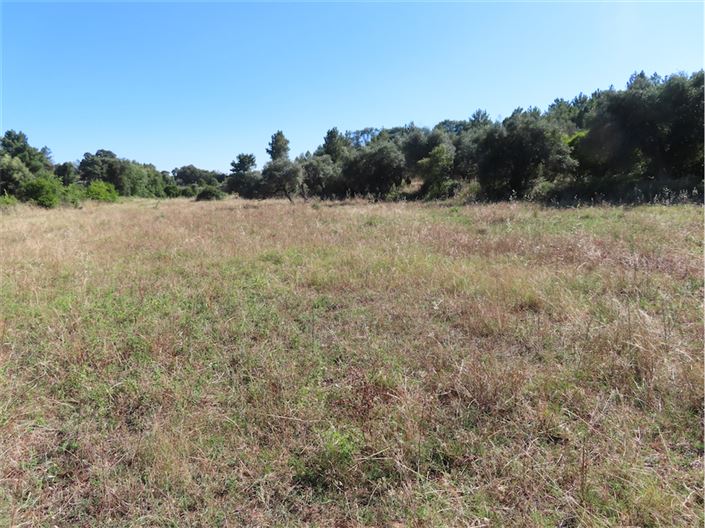 Image No.46-Propriété de 2 chambres à vendre à Castelo Branco