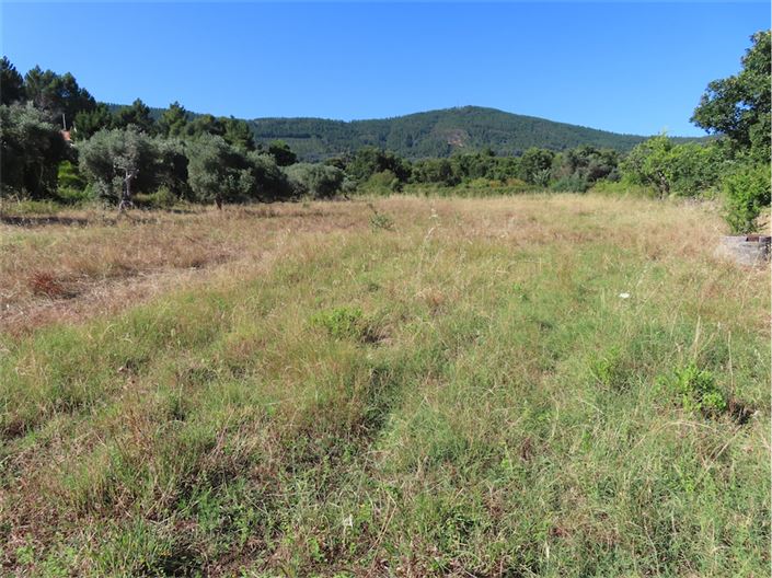 Image No.47-Propriété de 2 chambres à vendre à Castelo Branco