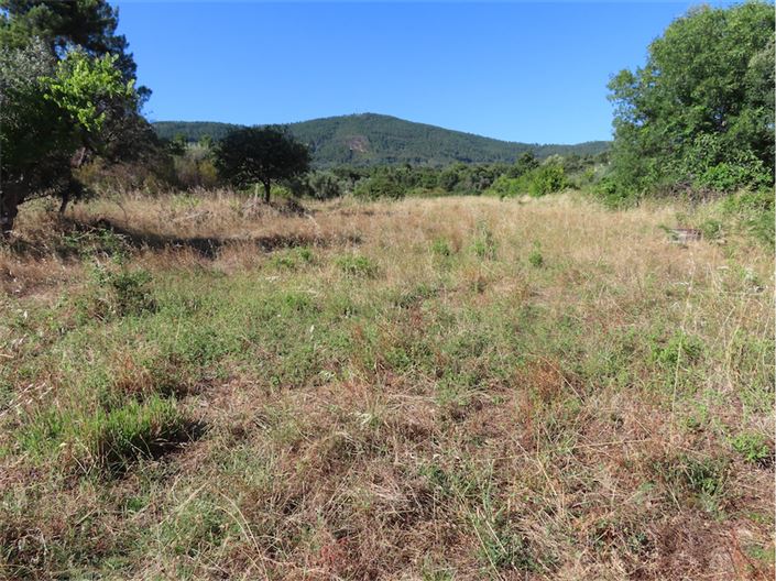 Image No.49-Propriété de 2 chambres à vendre à Castelo Branco