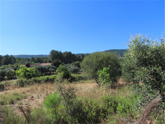 Image No.5-Propriété de 2 chambres à vendre à Castelo Branco