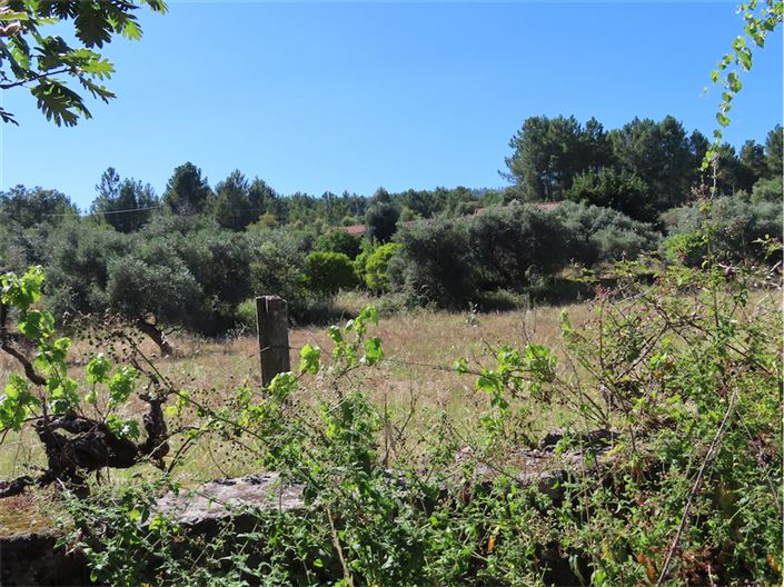 Image No.6-Propriété de 2 chambres à vendre à Castelo Branco