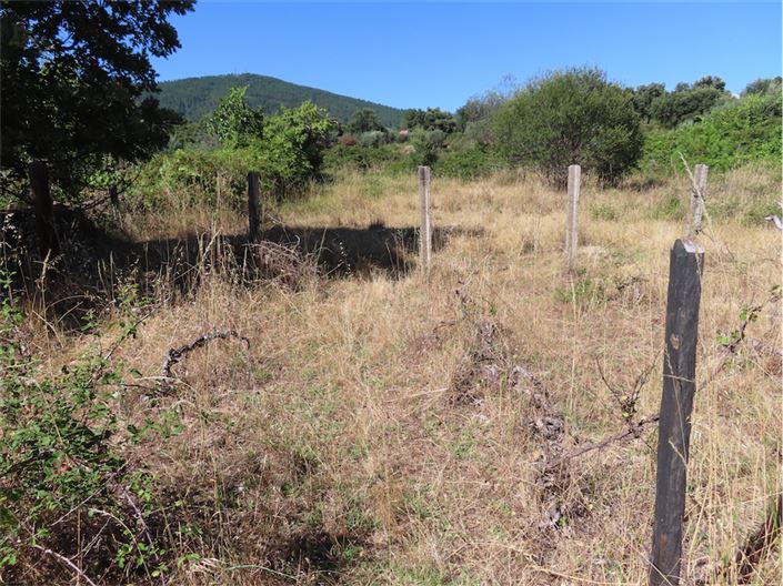 Image No.8-Propriété de 2 chambres à vendre à Castelo Branco