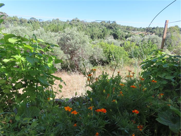 Image No.9-Propriété de 2 chambres à vendre à Castelo Branco