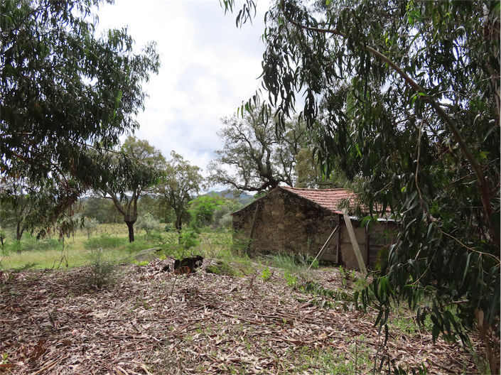 Image No.10-Propriété à vendre à Castelo Branco
