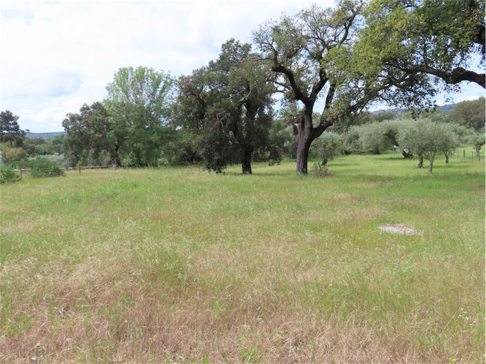 Image No.11-Propriété à vendre à Castelo Branco