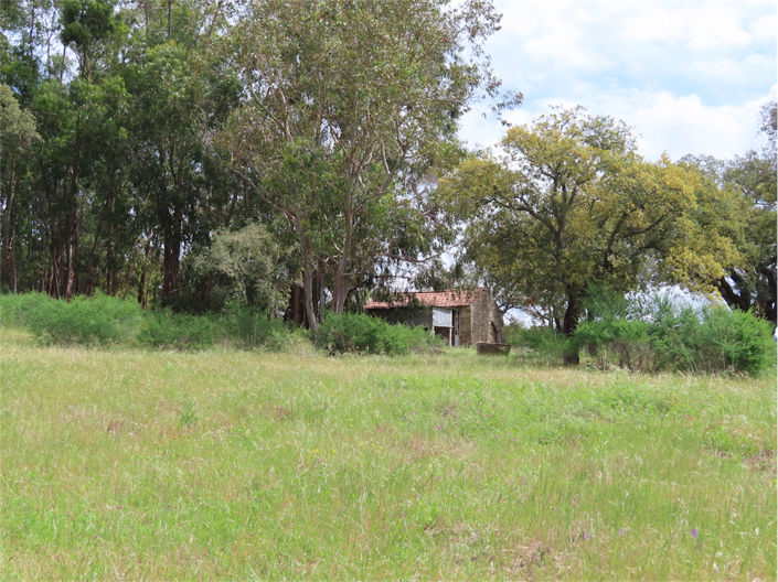 Image No.13-Propriété à vendre à Castelo Branco