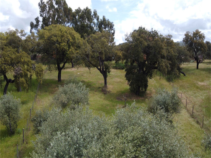 Image No.16-Propriété à vendre à Castelo Branco