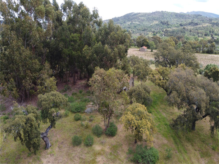 Image No.17-Propriété à vendre à Castelo Branco