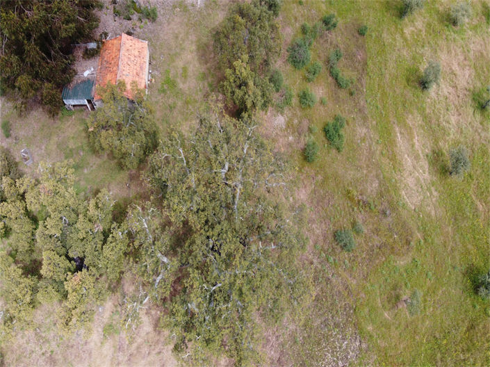 Image No.18-Propriété à vendre à Castelo Branco