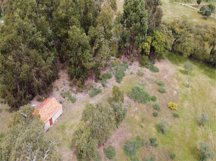 Image No.19-Propriété à vendre à Castelo Branco