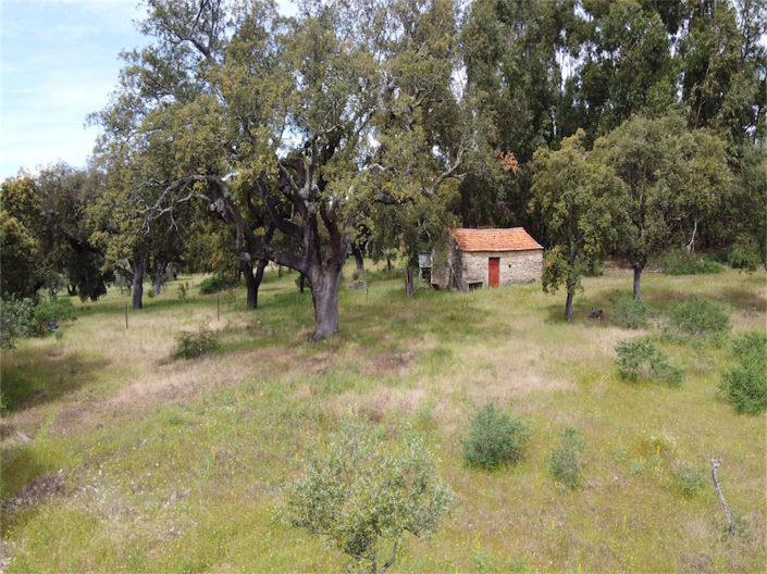 Image No.2-Propriété à vendre à Castelo Branco