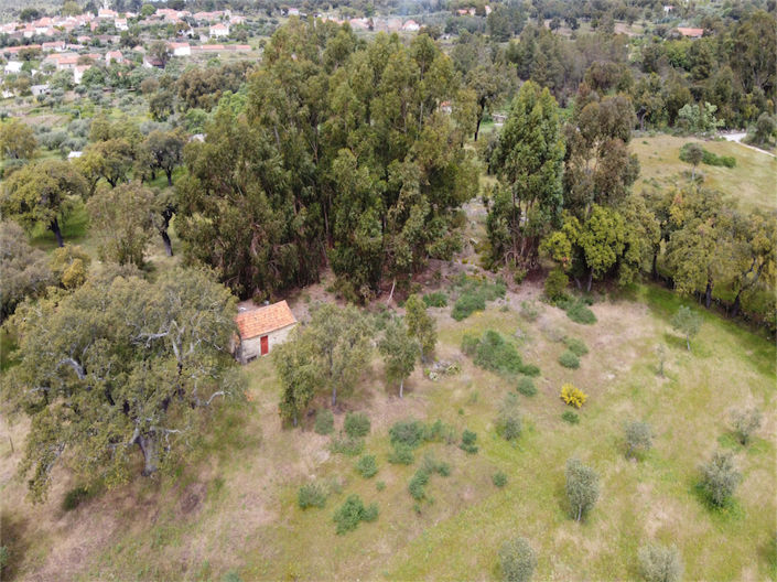 Image No.20-Propriété à vendre à Castelo Branco