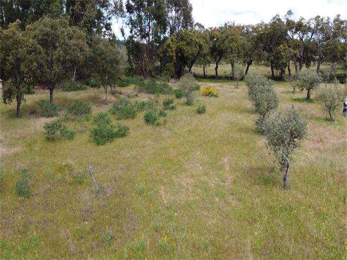 Image No.21-Propriété à vendre à Castelo Branco