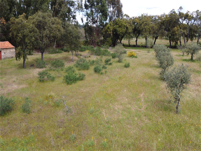 Image No.23-Propriété à vendre à Castelo Branco