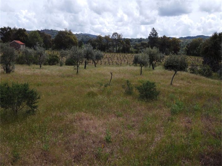 Image No.24-Propriété à vendre à Castelo Branco