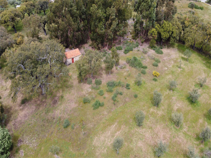 Image No.26-Propriété à vendre à Castelo Branco