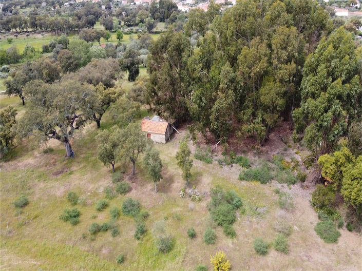 Image No.27-Propriété à vendre à Castelo Branco