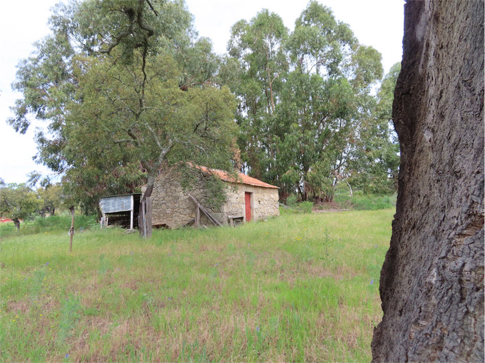 Image No.4-Propriété à vendre à Castelo Branco