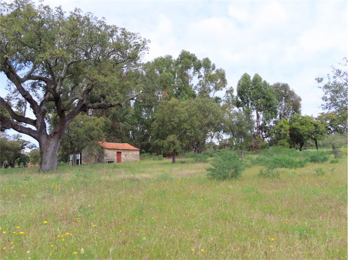Image No.5-Propriété à vendre à Castelo Branco