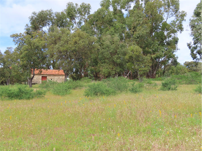Image No.6-Propriété à vendre à Castelo Branco