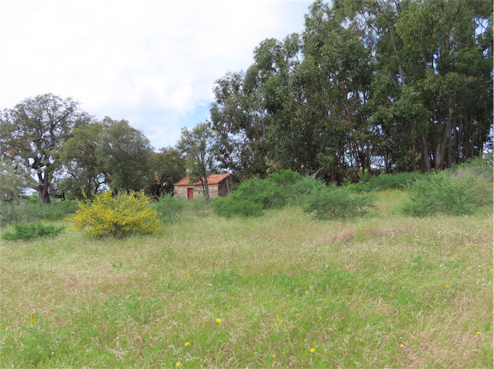 Image No.9-Propriété à vendre à Castelo Branco