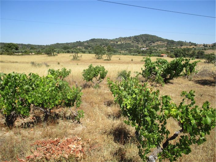 Image No.11-Propriété à vendre à Castelo Branco