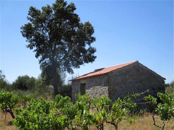 Image No.2-Propriété à vendre à Castelo Branco