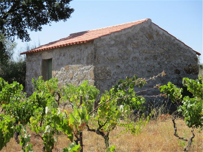 Image No.3-Propriété à vendre à Castelo Branco