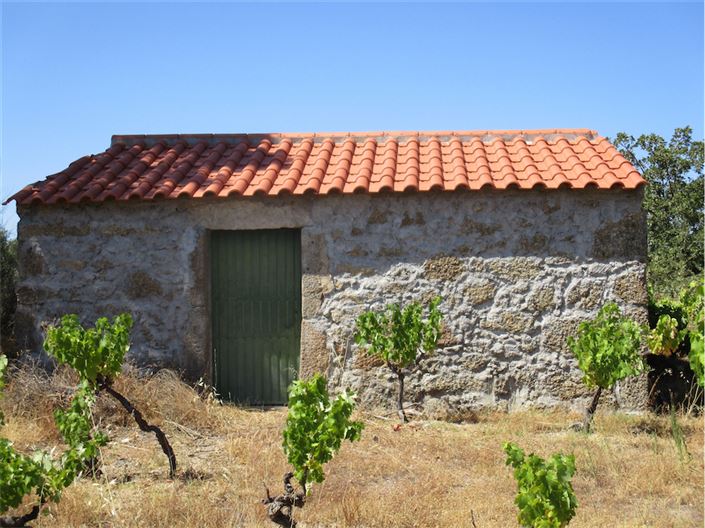 Image No.4-Propriété à vendre à Castelo Branco