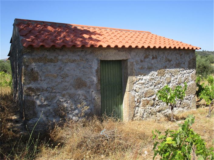 Image No.5-Propriété à vendre à Castelo Branco