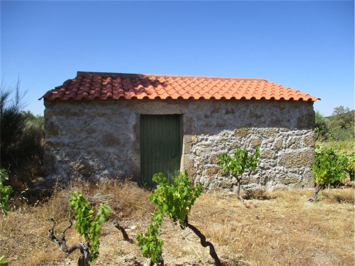 Image No.6-Propriété à vendre à Castelo Branco