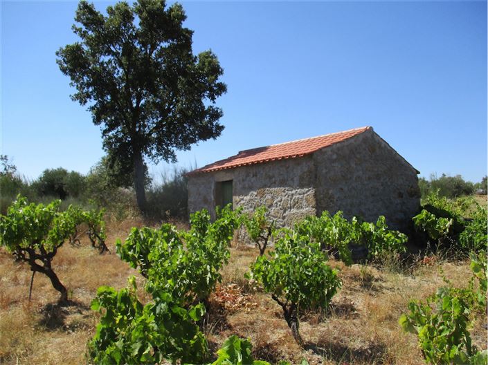 Image No.7-Propriété à vendre à Castelo Branco