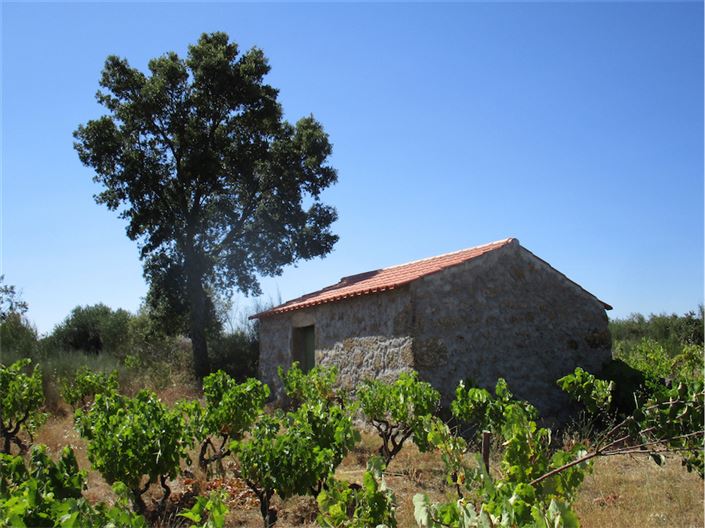 Image No.8-Propriété à vendre à Castelo Branco