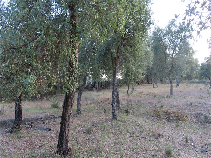 Image No.12-Property for sale