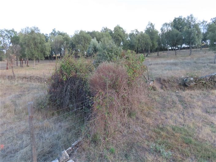 Image No.19-Property for sale