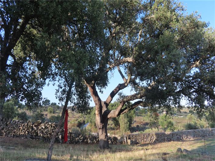 Image No.2-Property for sale