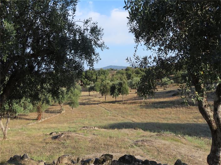 Image No.25-Property for sale