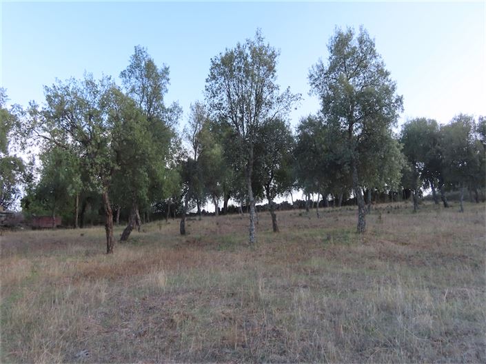 Image No.9-Property for sale