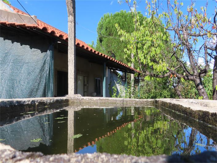 Image No.2-Property for sale