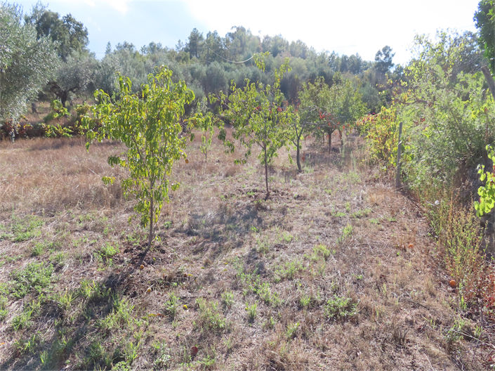 Image No.31-Property for sale