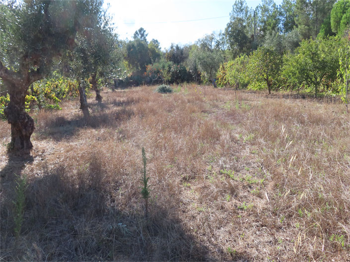 Image No.39-Property for sale