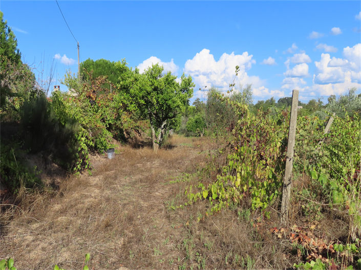 Image No.43-Property for sale