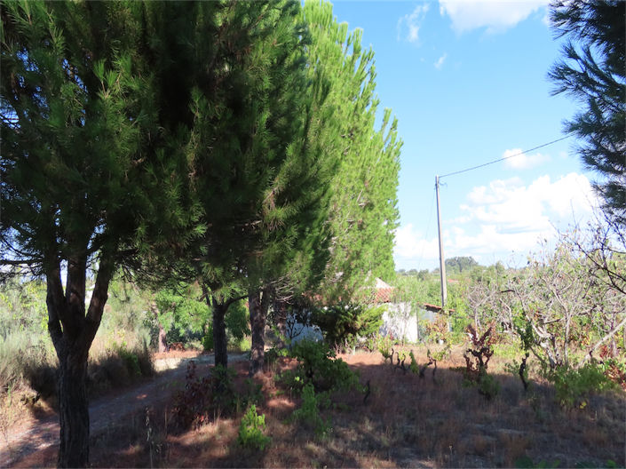 Image No.44-Property for sale