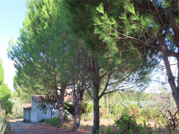 Image No.46-Property for sale