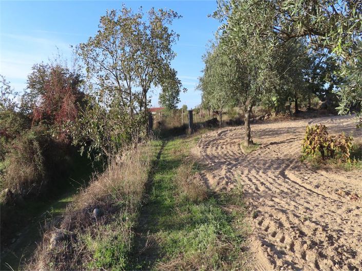 Image No.14-Propriété à vendre à Castelo Branco