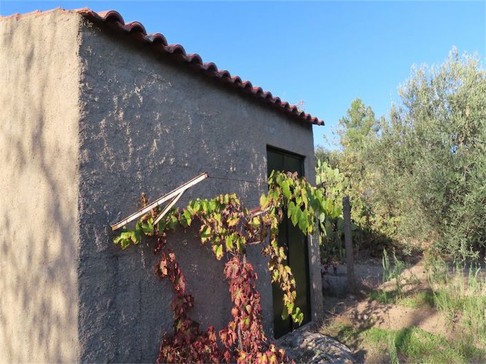 Image No.15-Propriété à vendre à Castelo Branco