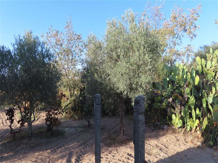 Image No.19-Propriété à vendre à Castelo Branco