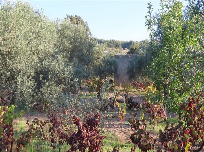 Image No.2-Propriété à vendre à Castelo Branco